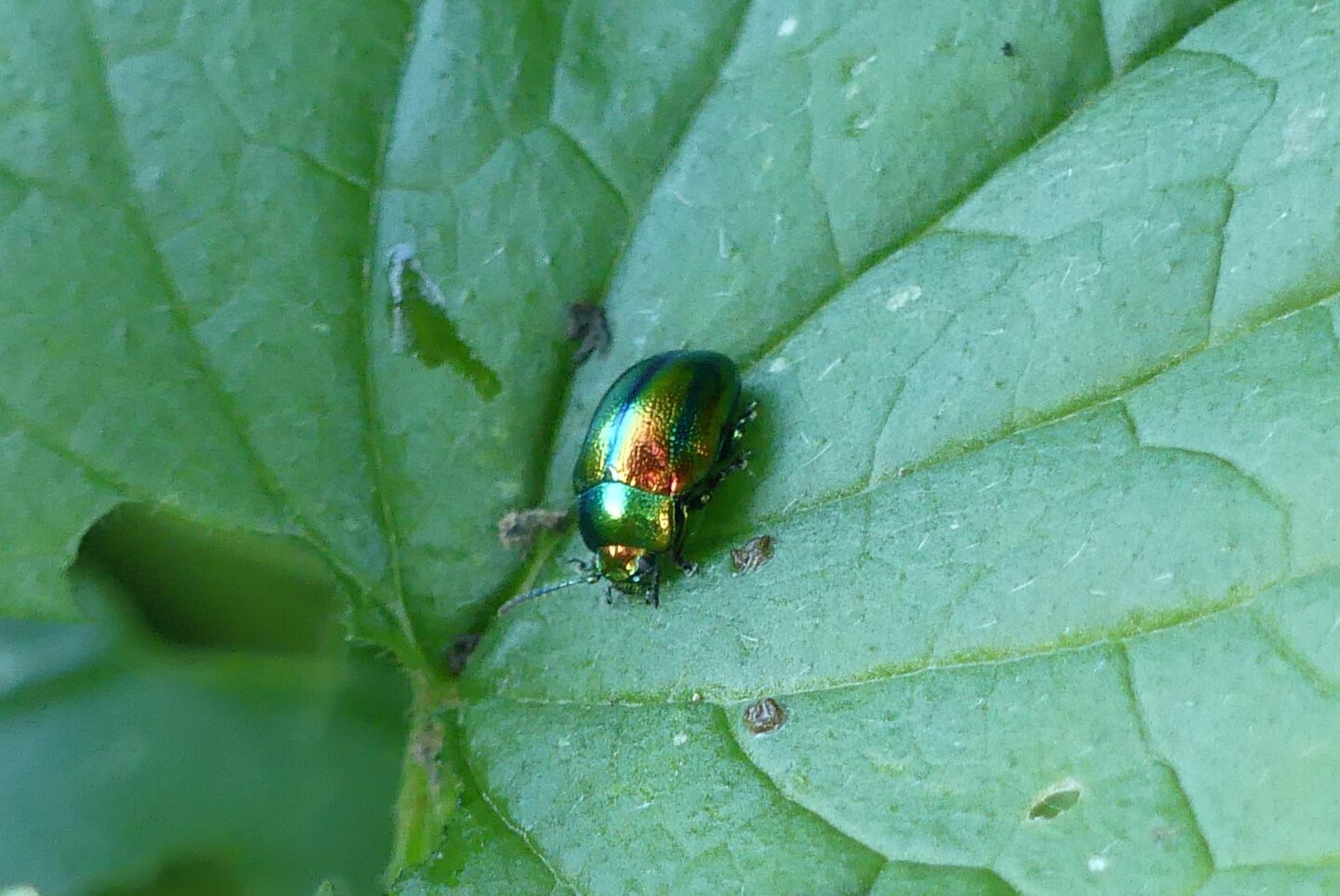2026-05-10 Exkursion in die Umgebung von Raeren-