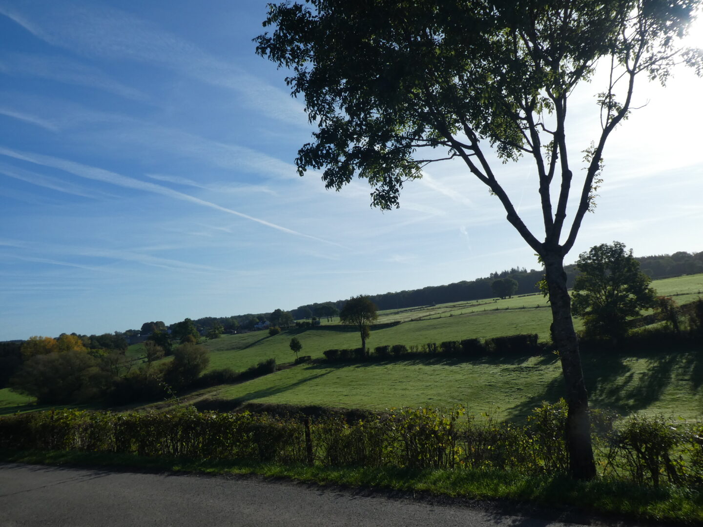 2026-07-05 Heckengeflüster